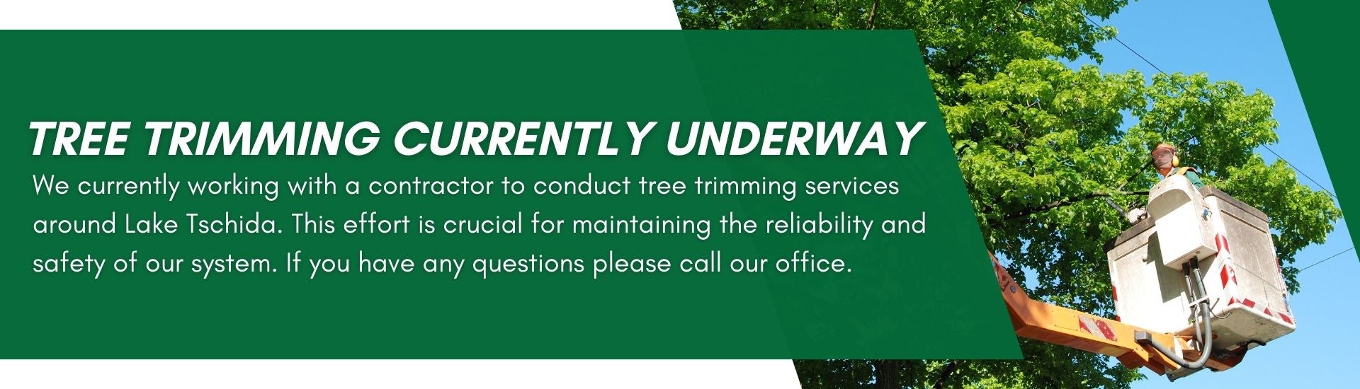 Tree trimming