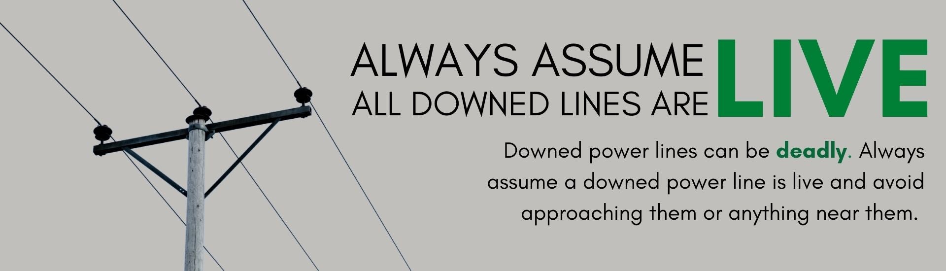 downed lines